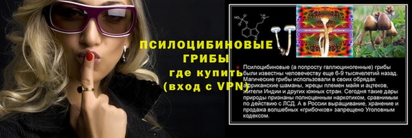 соль ск Зеленокумск