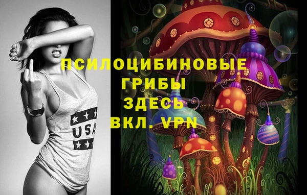 соль ск Зеленокумск
