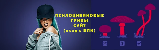 соль ск Зеленокумск