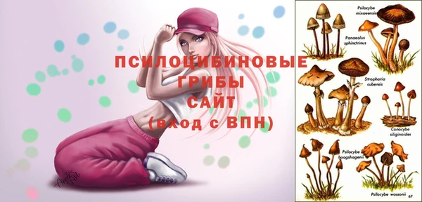 соль ск Зеленокумск