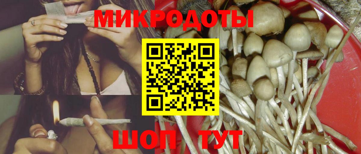 Псилоцибиновые грибы мицелий Омск
